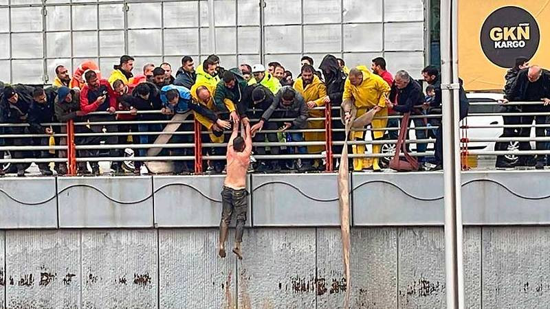 Tras fuertes inundaciones en Turquía, se registran 5 personas muertas en las zonas más afectadas por los sismos